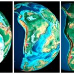 Los últimos 600 millones de años del Neuquén y la Argentina
