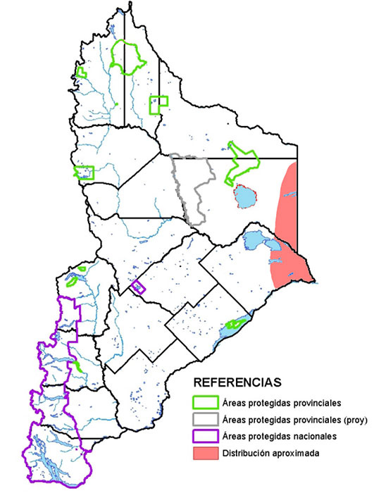 Distribución en Neuquén del Cacholote Castaño
