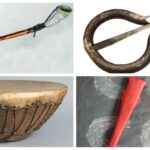 Música e Instrumentos Musicales Patagónicos
