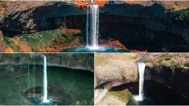 Tres cascadas neuquinas “iguales” pero distintas