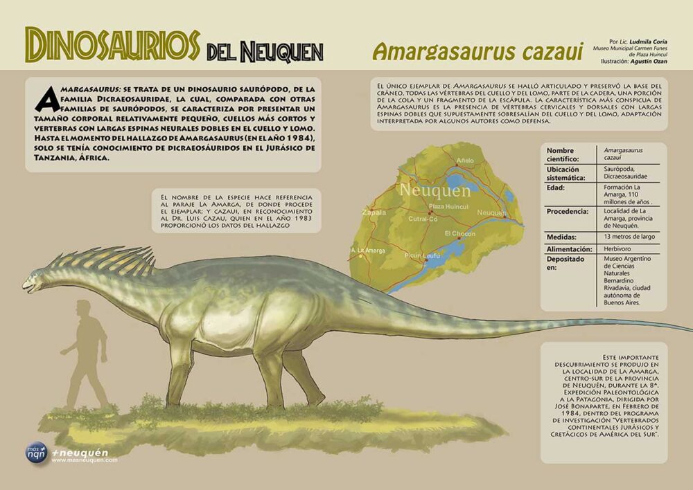 Amargasaurus cazaui