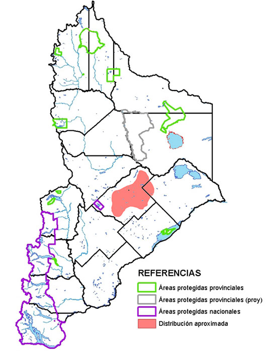 Distribución en Neuquén de la lagartija mapuche