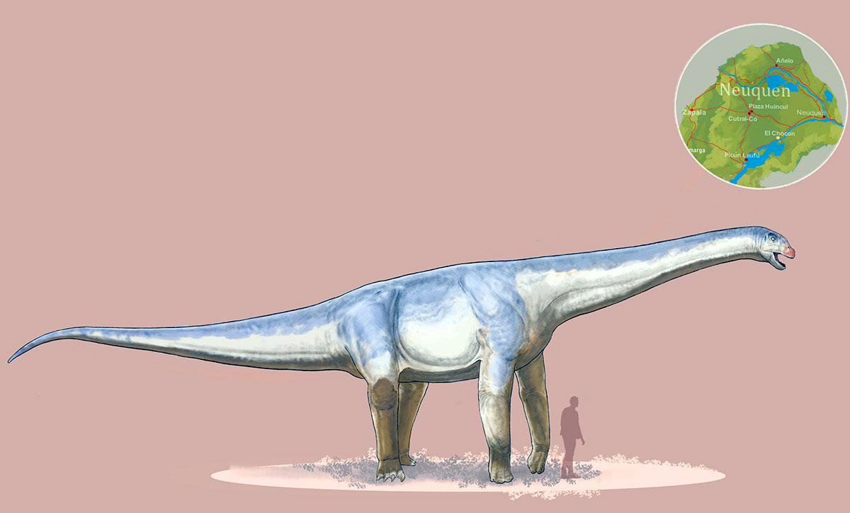 Andesaurus delgadoi
