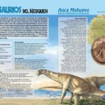 Auca Mahuevo - Sitio de nidificación de dinosaurios