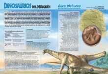 Auca Mahuevo - Sitio de nidificación de dinosaurios
