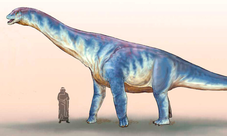 Dinosaurios del Neuquén – Barrosasaurus casamiquelai