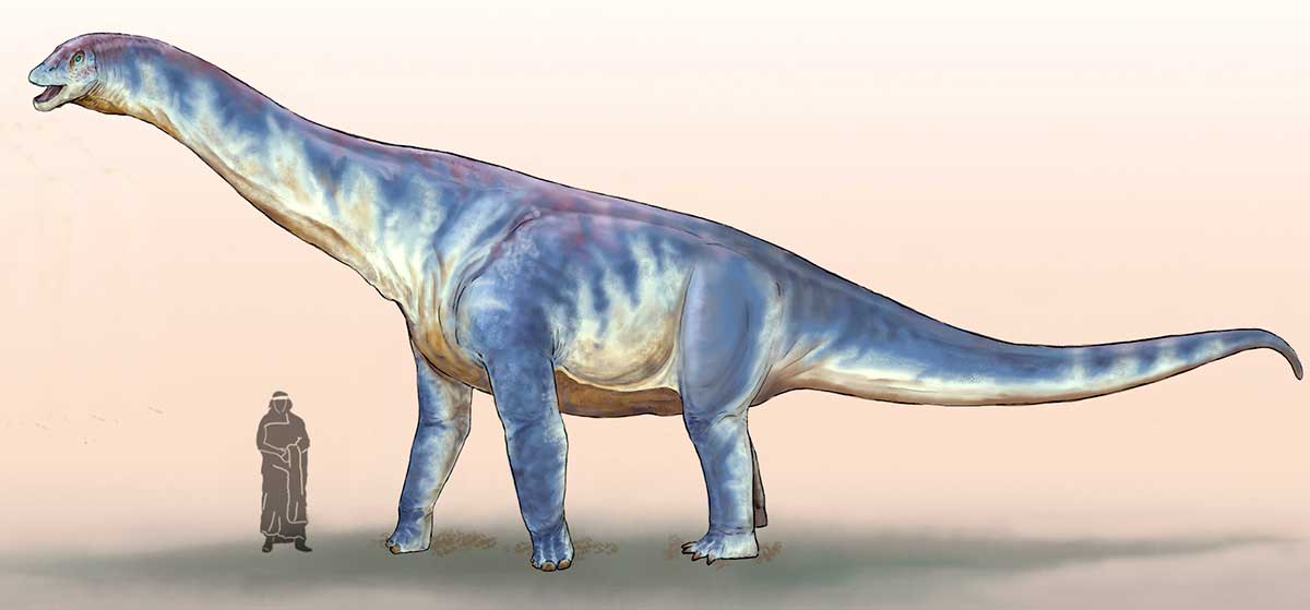 Dinosaurios del Neuquén – Barrosasaurus casamiquelai → Más Neuquén