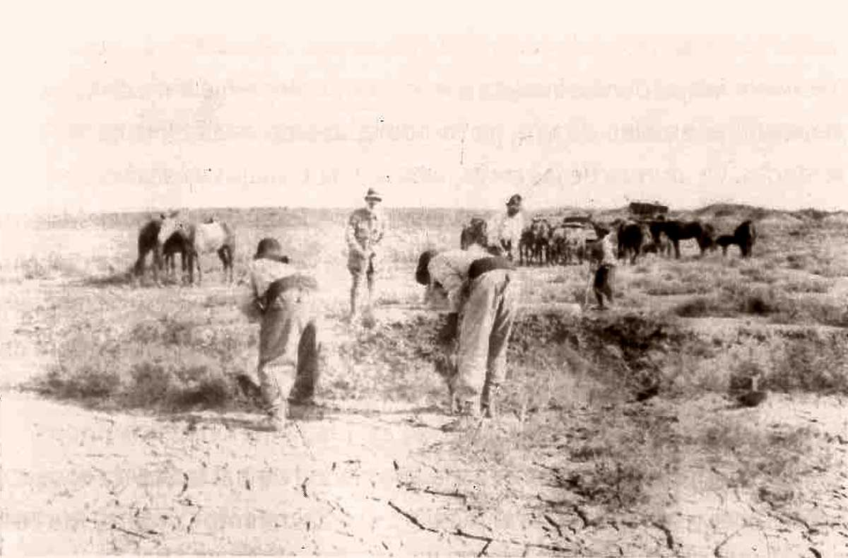 Primeras excavaciones en superficie de las vetas de Auca Mahuida (1920)