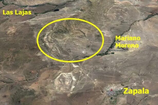 La otra historia de Zapala: arrecifes de corales