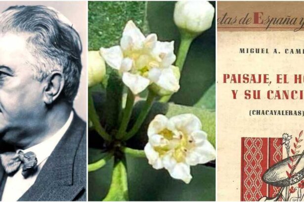 Poemas de Miguel Camino en libros escolares