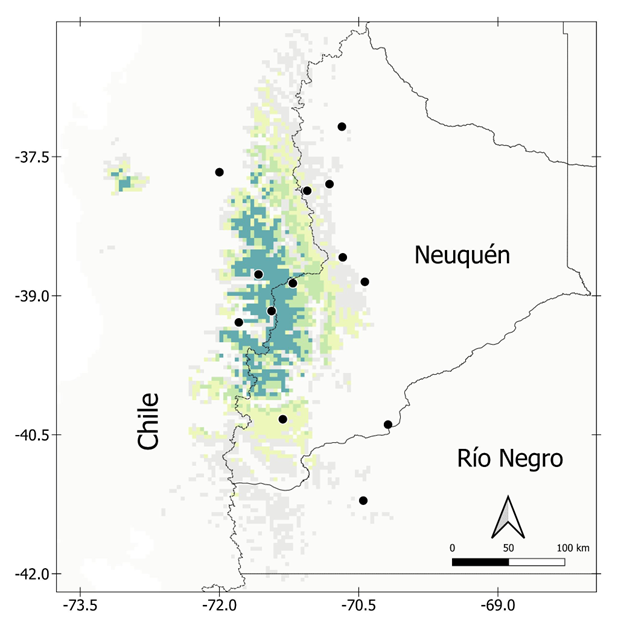 Figura 2. Distribución del pehuén y sitios arqueológicos (●) donde se encontraron restos del mismo en el Noroeste de Patagonia y centro de Chile.
